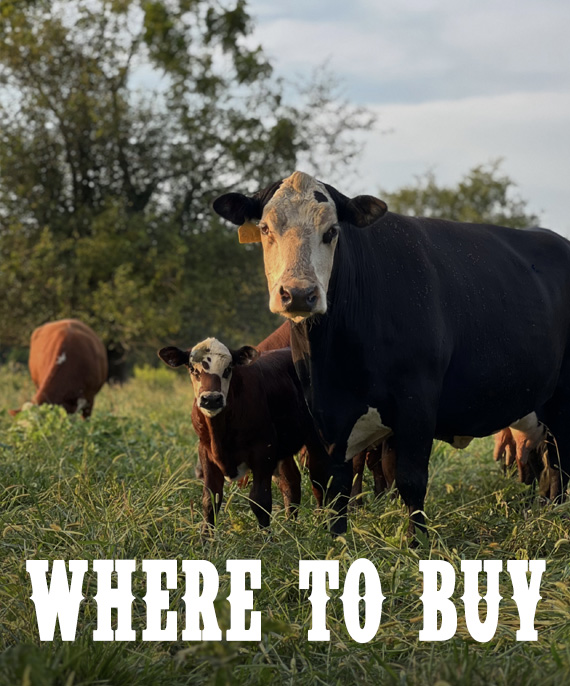 Where to buy pastured meat from Bendy Brook Farm in Berks County PA